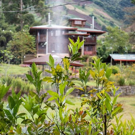 Los Quetzales Ecolodge & Spa Cerro Punta Luaran gambar