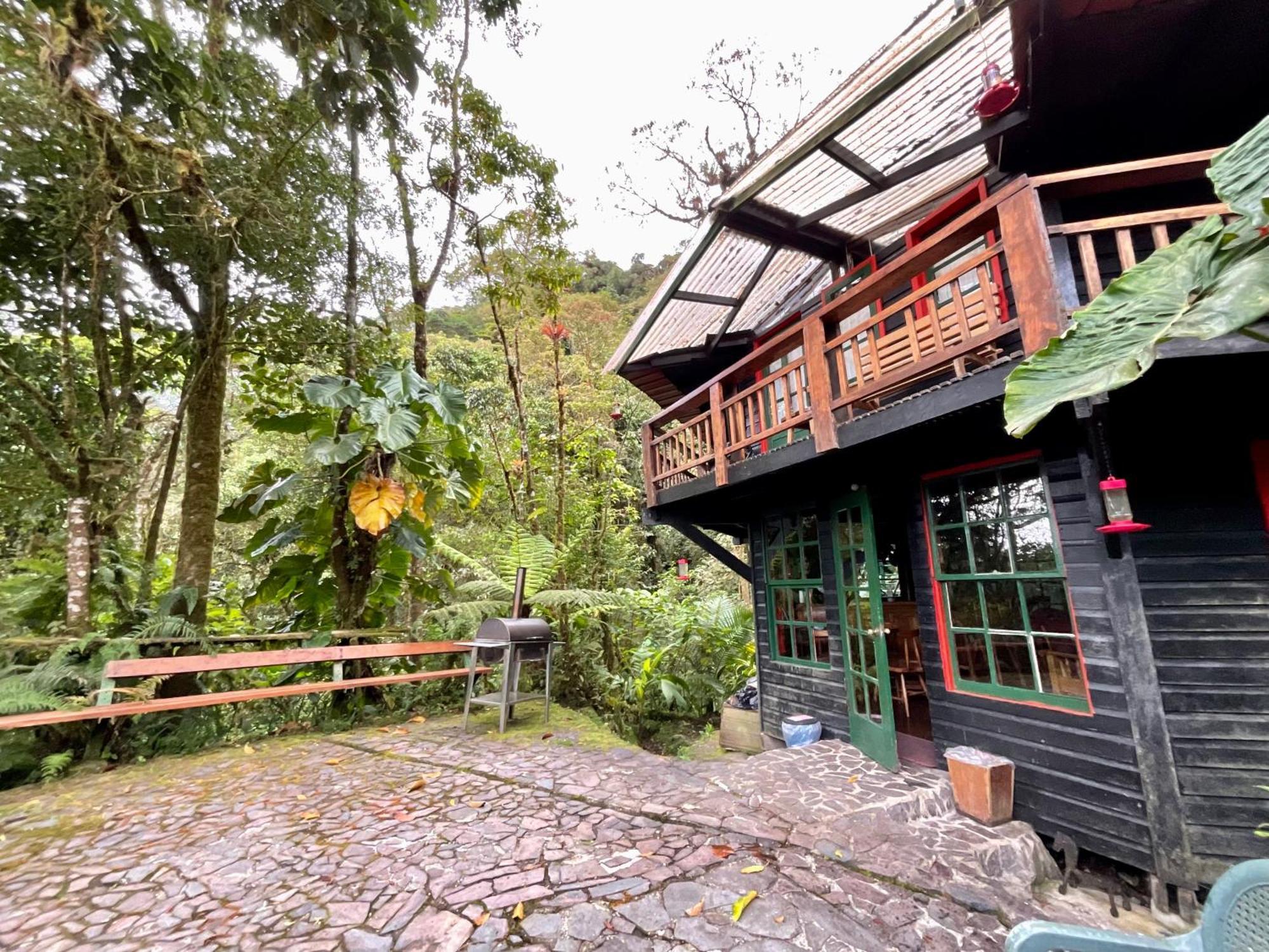 Los Quetzales Ecolodge & Spa Cerro Punta Luaran gambar