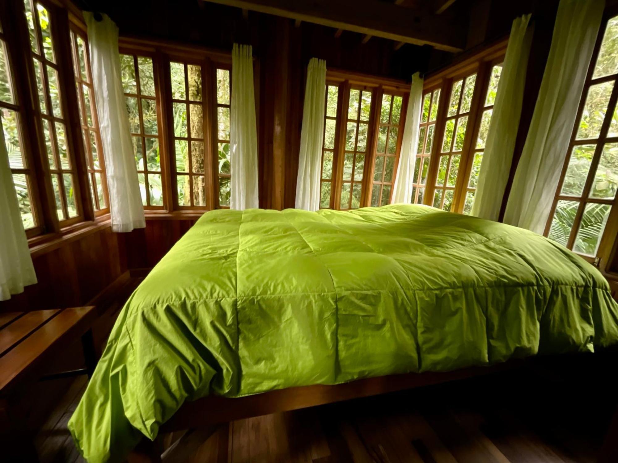 Los Quetzales Ecolodge & Spa Cerro Punta Luaran gambar