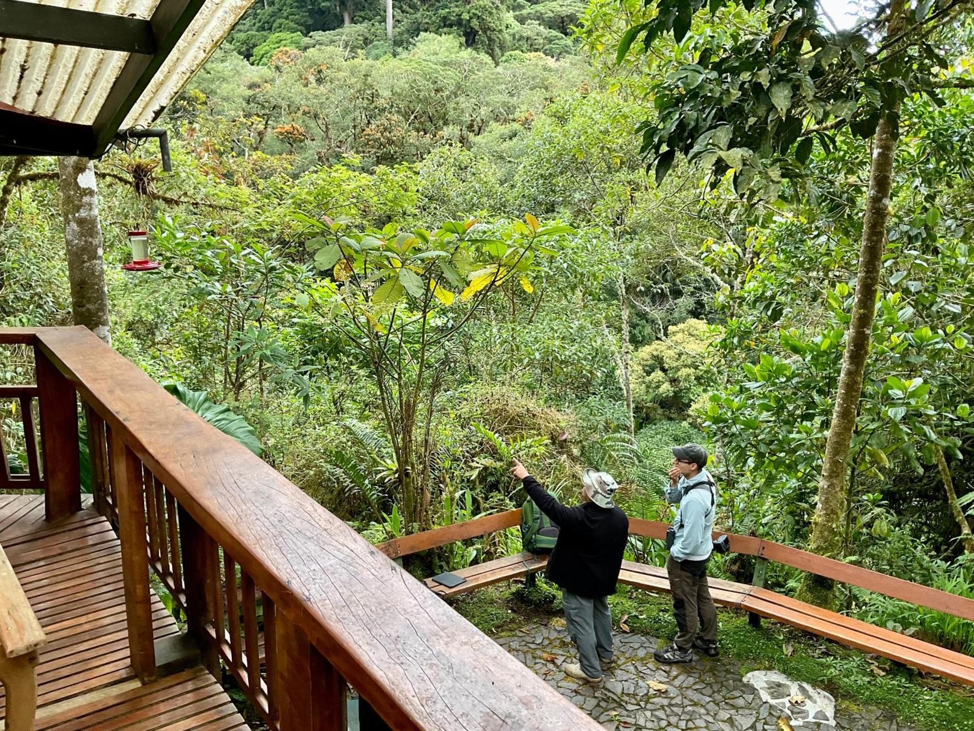 Los Quetzales Ecolodge & Spa Cerro Punta Luaran gambar