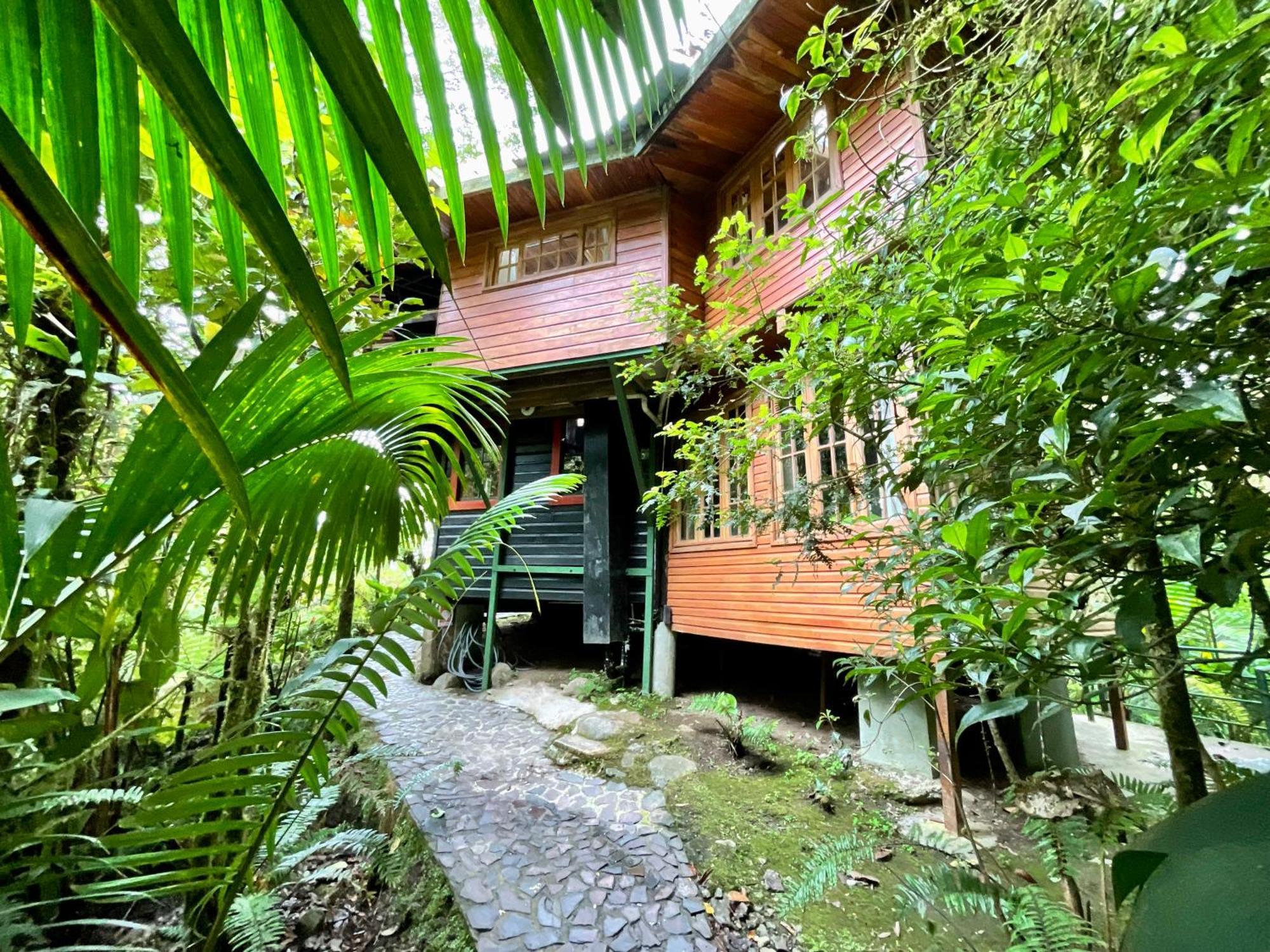 Los Quetzales Ecolodge & Spa Cerro Punta Luaran gambar