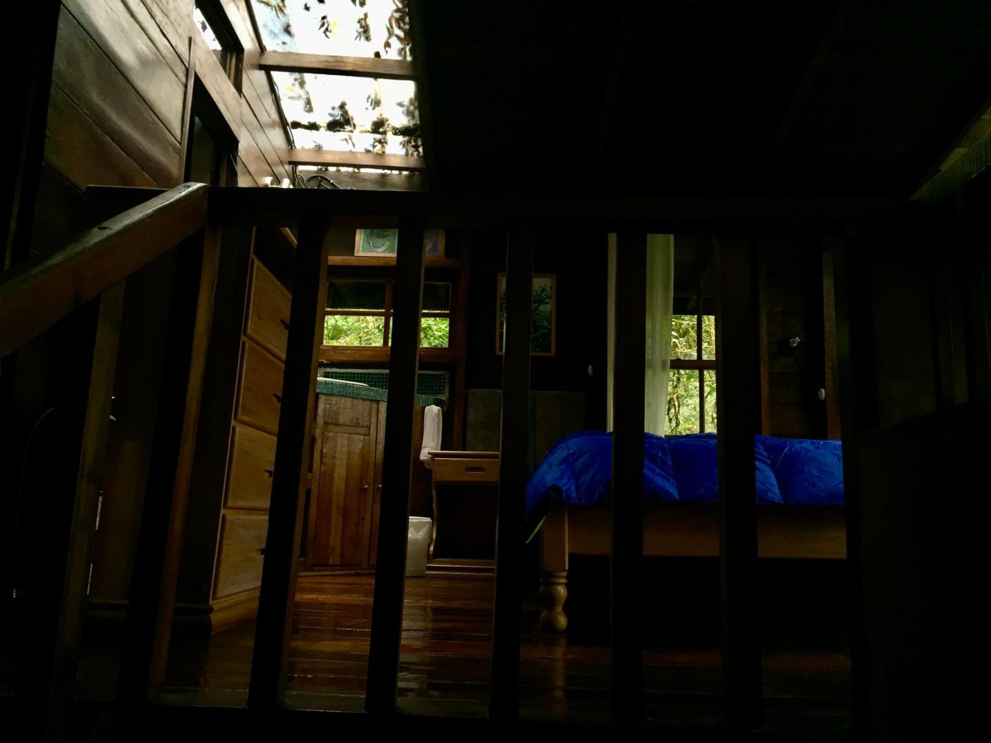 Los Quetzales Ecolodge & Spa Cerro Punta Luaran gambar