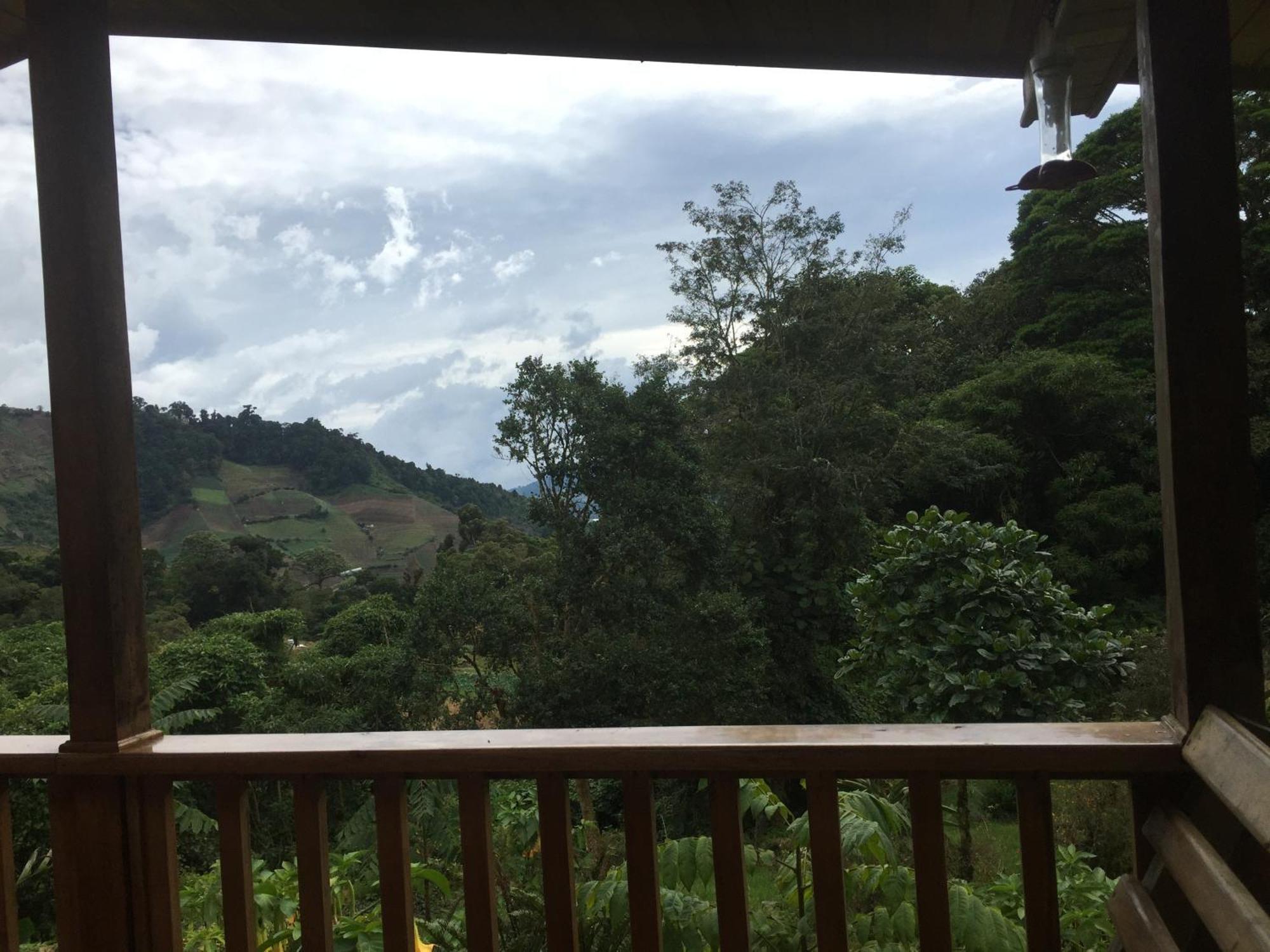Los Quetzales Ecolodge & Spa Cerro Punta Luaran gambar