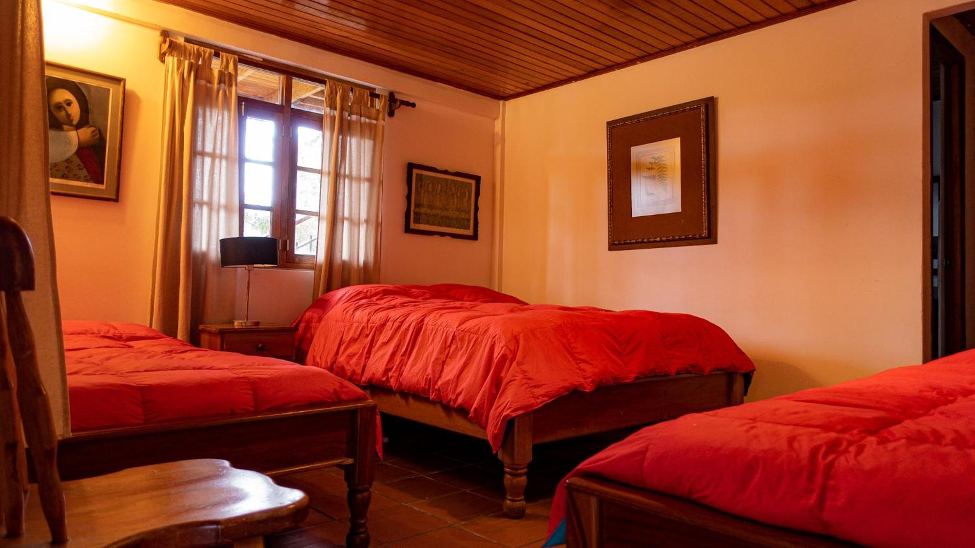Los Quetzales Ecolodge & Spa Cerro Punta Luaran gambar