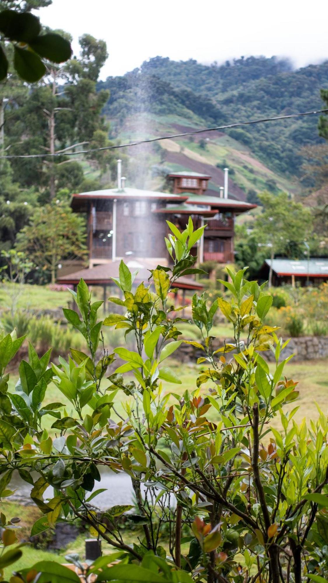 Los Quetzales Ecolodge & Spa Cerro Punta Luaran gambar