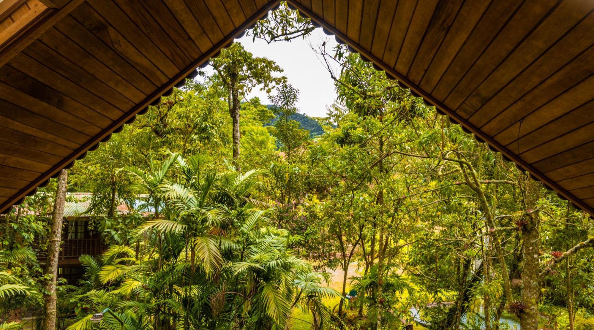 Los Quetzales Ecolodge & Spa Cerro Punta Luaran gambar