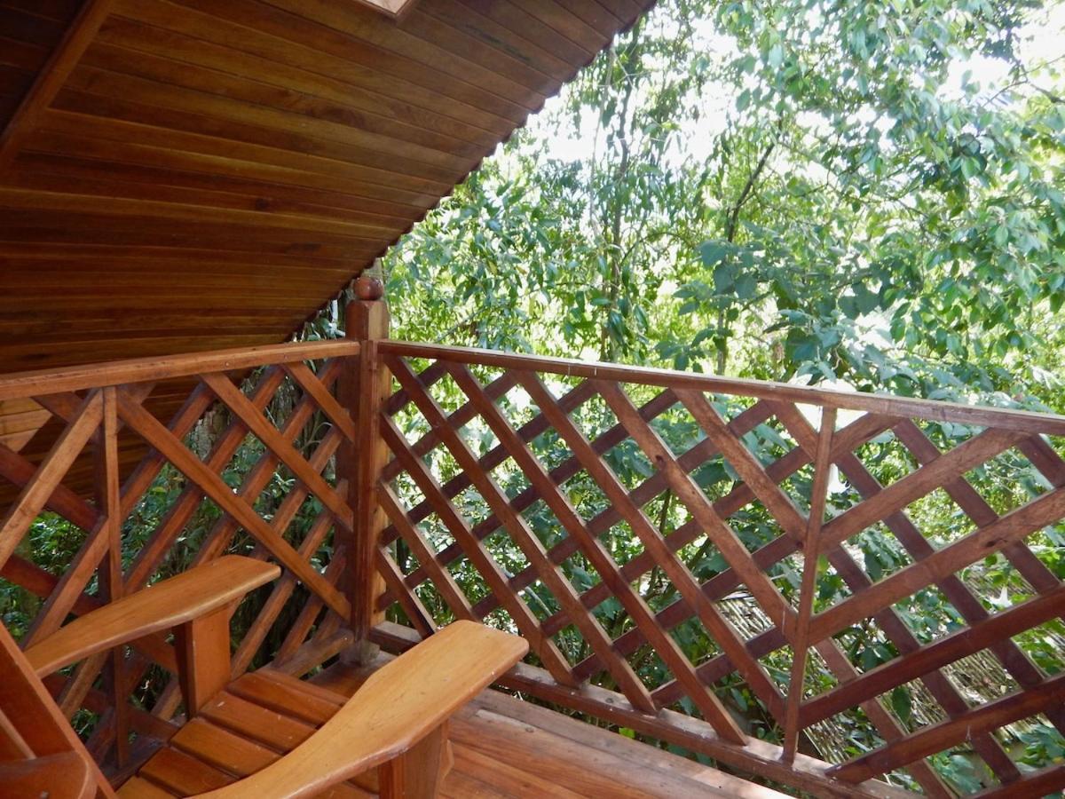 Los Quetzales Ecolodge & Spa Cerro Punta Luaran gambar